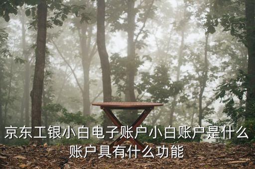 工行電子賬戶什么，京東工銀小白電子賬戶小白賬戶是什么賬戶具有什么功能