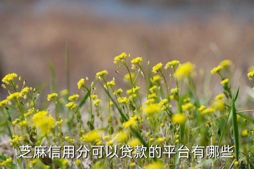 芝麻信用分可以貸款的平臺(tái)有哪些
