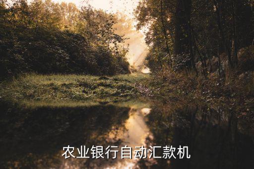 農(nóng)業(yè)銀行自動(dòng)匯款機(jī)
