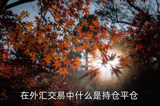 持倉和平倉是什么意思，甚么是開倉持倉平倉