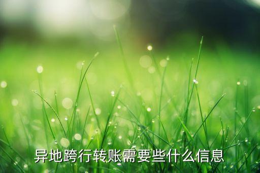 異地跨行轉(zhuǎn)賬需要些什么信息