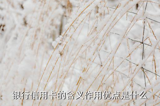 信用卡起什么作用，信用卡的含義功能和優(yōu)點分別是什么