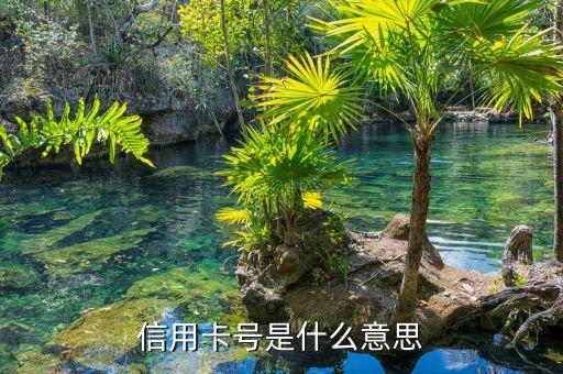 信用卡號(hào)是什么意思