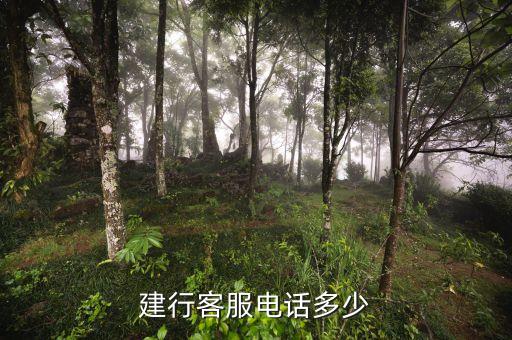 建行卡故障打什么電話號碼，建行的客服電話是多少