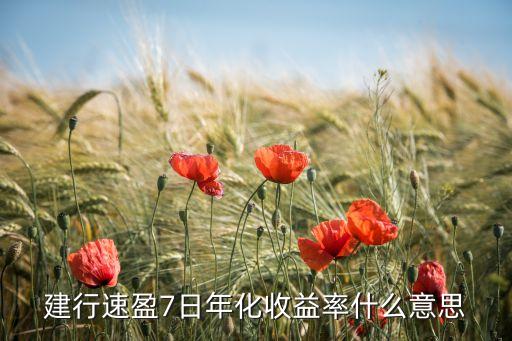 建行速盈7日年化收益率什么意思