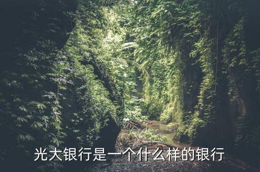 光大銀行是一個(gè)什么樣的銀行