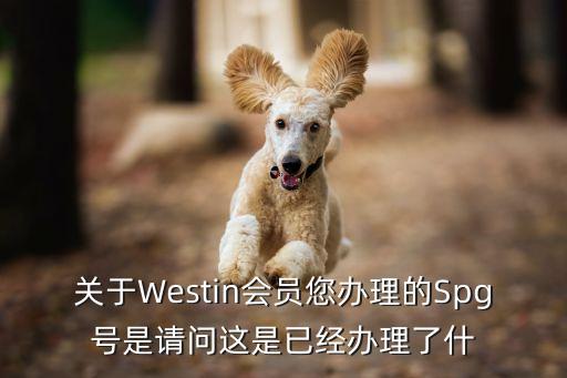 spg金卡有什么用，關(guān)于Westin會(huì)員您辦理的Spg號(hào)是請(qǐng)問這是已經(jīng)辦理了什
