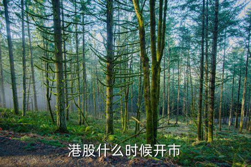 港股什么時(shí)候開(kāi)市