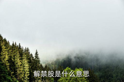 解禁股是什么意思，解禁股是什么意思