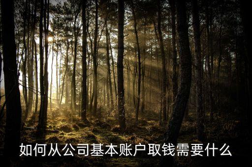 從公戶取錢需要什么，如何從公司基本賬戶取錢需要什么