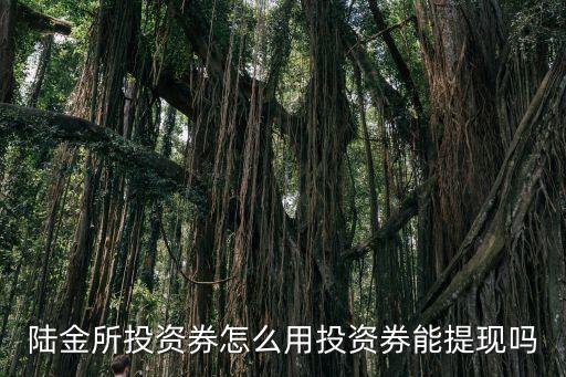 陸金所鉆石感恩禮什么用，麥麥提和陸金所的新手福利哪個(gè)好啊