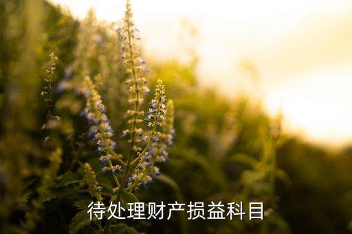 待處理財產(chǎn)損益科目