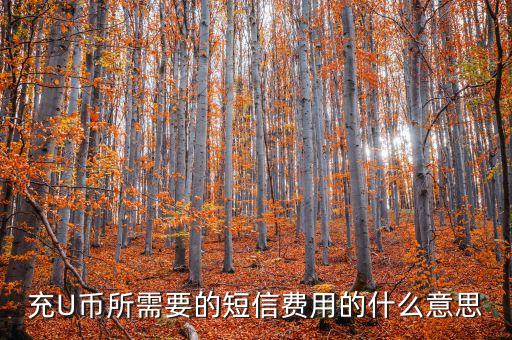 U費是什么意思，充U幣所需要的短信費用的什么意思