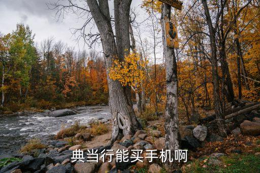 典當(dāng)行能買到什么東西，典當(dāng)行能買手機(jī)啊