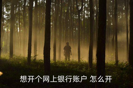 網(wǎng)上開戶怎么開，網(wǎng)上銀行如何開戶