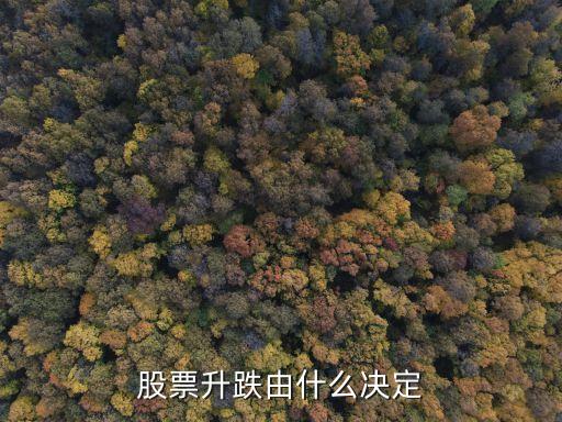 股市的漲跌由什么決定，股票漲跌是由什么決定的