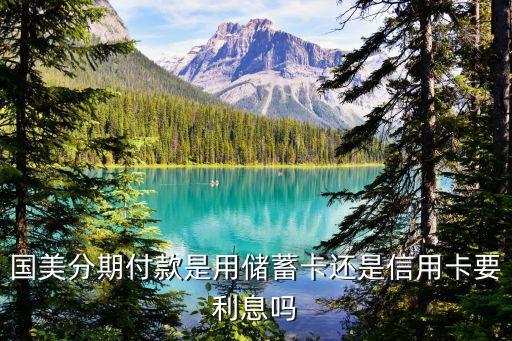 國美電器用的什么分期付款，國美電器需要哪種銀行分期付款