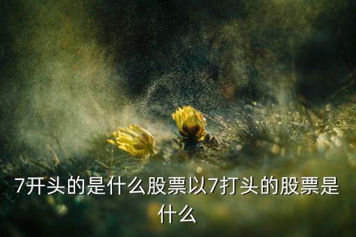 7開頭的是什么股票以7打頭的股票是什么