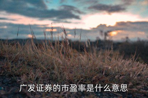 廣發(fā)證券的市盈率是什么意思