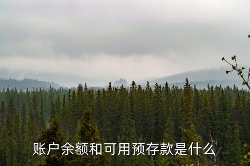 賬戶余額和可用預(yù)存款是什么