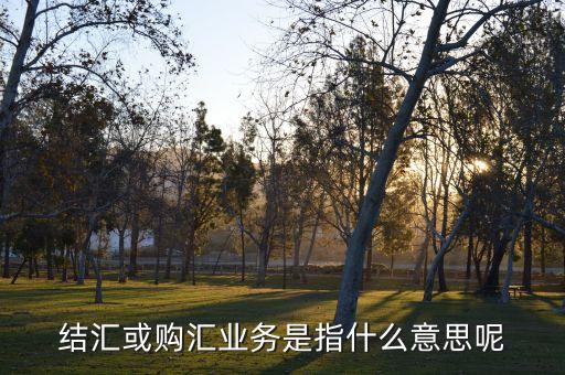 匯購(gòu)什么意思，誰(shuí)知道廣匯汽車(chē)租賃啊他的匯購(gòu)是什么意思