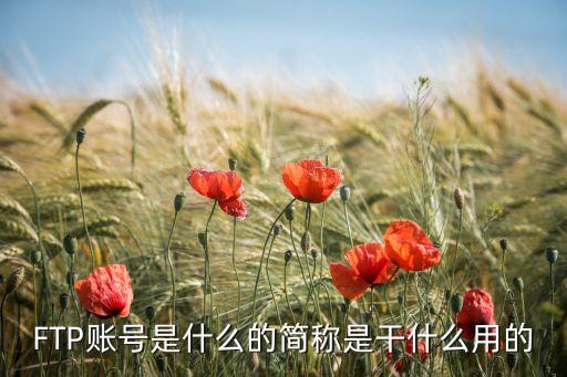 FTP賬號(hào)是什么的簡(jiǎn)稱是干什么用的
