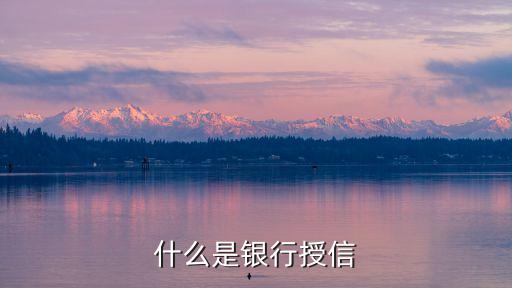 授信主體是什么，信貸主體是甚么意思