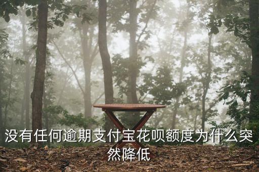 沒(méi)有任何逾期支付寶花唄額度為什么突然降低