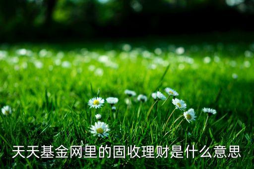 固收理財什么意思，天天基金網(wǎng)里的固收理財是什么意思
