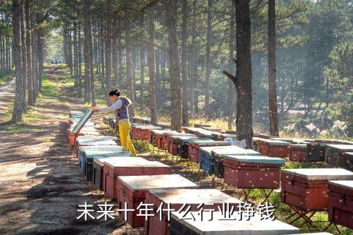 未來(lái)十年什么行業(yè)掙錢