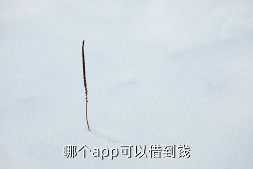在什么平臺可以借到錢，借錢軟件哪個能借到錢