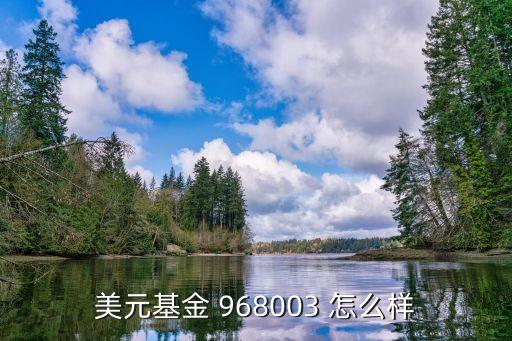 美元基金什么好處，美元基金 968003 怎么樣