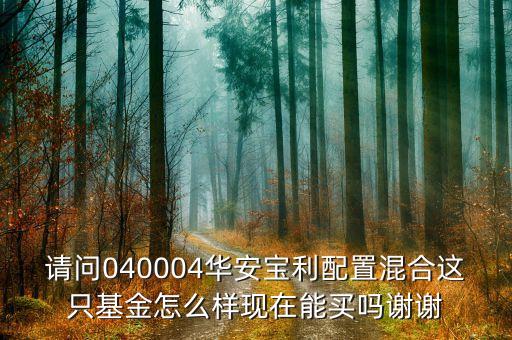 請問040004華安寶利配置混合這只基金怎么樣現(xiàn)在能買嗎謝謝
