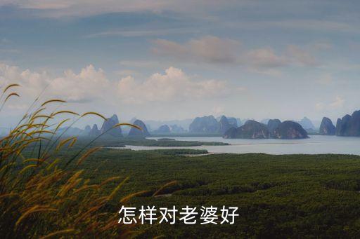 石頭理財(cái)什么時(shí)候成立，投融平臺(tái)合法嗎