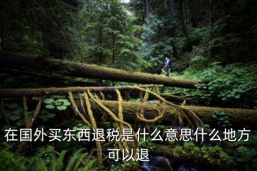 國外買東西退稅是什么意思，在歐洲購物退稅時什么意思