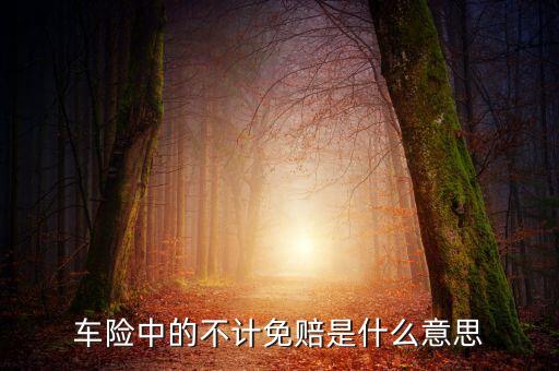 車險中的不計免賠是什么意思