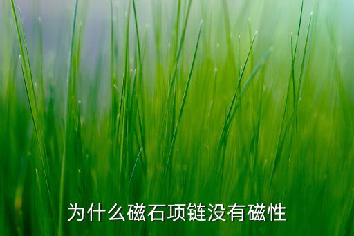 為什么磁石項(xiàng)鏈沒(méi)有磁性