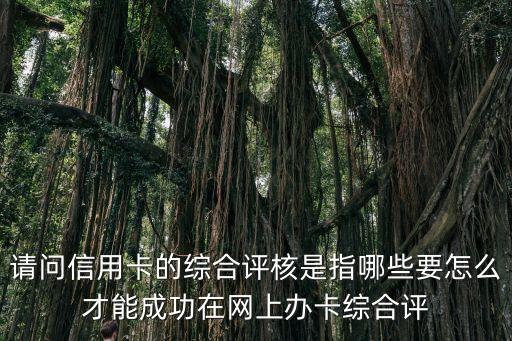 請問信用卡的綜合評核是指哪些要怎么才能成功在網(wǎng)上辦卡綜合評