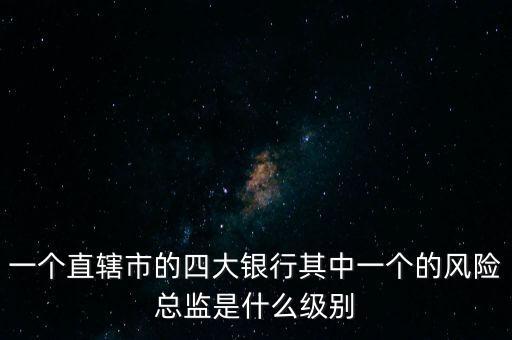 一個直轄市的四大銀行其中一個的風險總監(jiān)是什么級別