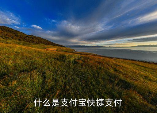 什么是支付寶快捷支付