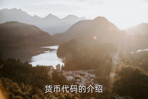 貨幣代碼的介紹