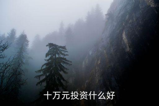 十萬投資什么比較好，10萬元投資什么項目最好