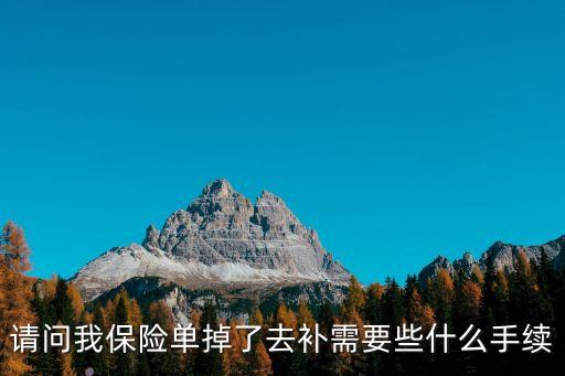 請問我保險單掉了去補(bǔ)需要些什么手續(xù)