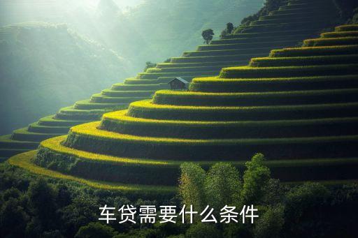 購車分期想要什么要求，買車分期付款要那些條件