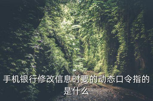 手機銀行修改信息時要的動態(tài)口令指的是什么