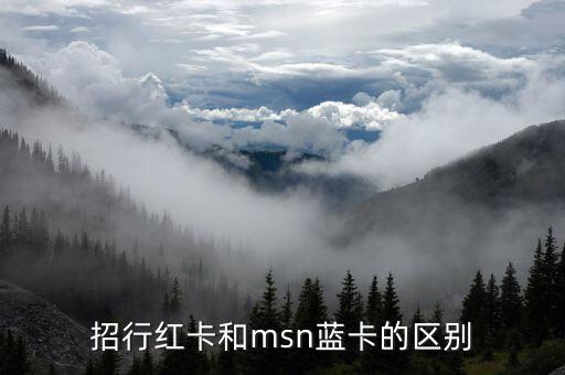 招行紅卡和msn藍(lán)卡的區(qū)別