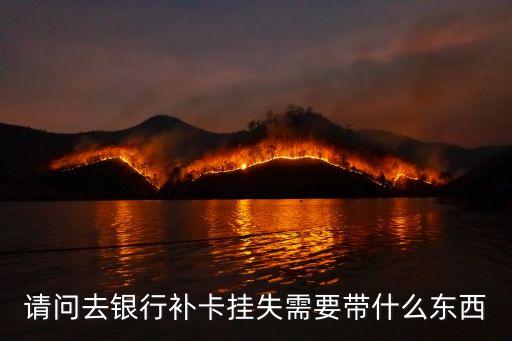 工行掛失補辦要帶什么資料，請問去銀行補卡掛失需要帶什么東西