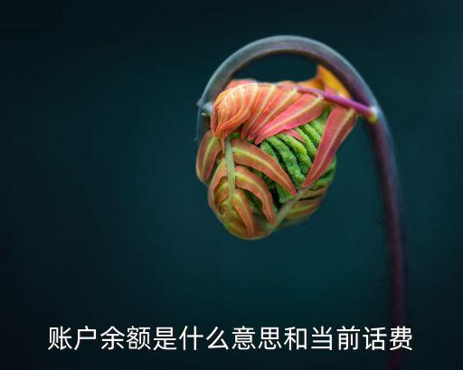 賬戶余額是什么意思和當(dāng)前話費(fèi)