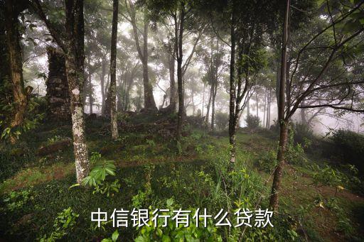 中信銀行網(wǎng)貸叫什么，中信銀行有哪些存管的p2p平臺