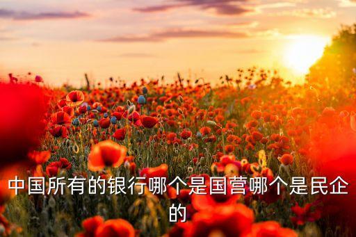 中國所有的銀行哪個(gè)是國營哪個(gè)是民企的